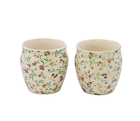 Freakway Hand-Painted Ceramic Floral kulhad Set of 6 Cups |kullad Tea Set | kulhad chai Cups | Hand Painted kulhad Coffee Mug, Multicolor